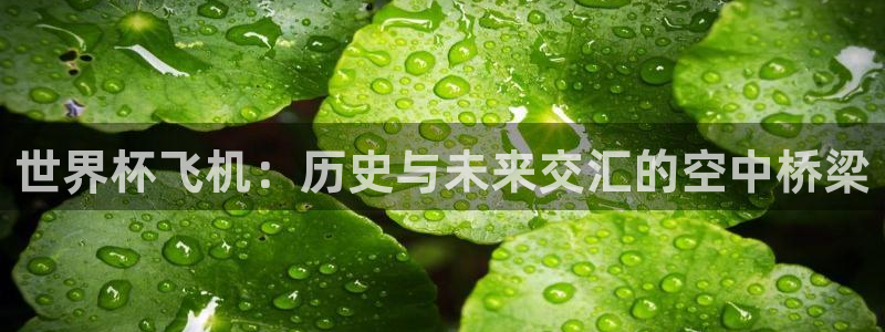 世界直播：世界杯飞机：历史与未来交汇的空中桥梁
