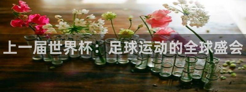 2026世界杯亚洲预选赛：上一届世界杯：足球运动的全球盛会
