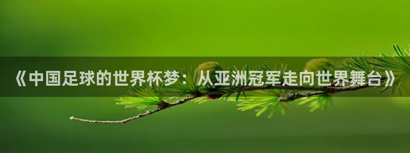 足球世界杯2026：《中国足球的世界杯梦：从亚洲冠军走向世界舞台》