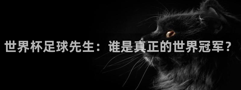 世界杯预选赛排名：世界杯足球先生：谁是真正的世界冠军？