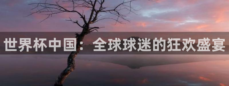 2026足球世界杯赛程时间表：世界杯中国：全球球迷的狂欢盛宴