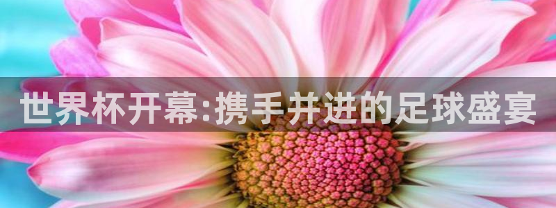 世界杯赛程表2026：世界杯开幕:携手并进的足球盛宴
