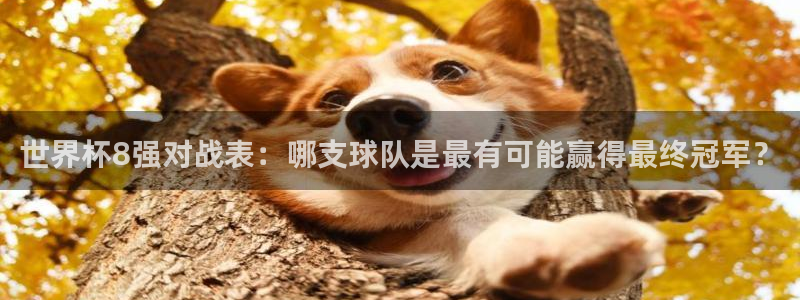 世界杯球队排名：世界杯8强对战表：哪支球队是最有可能赢得最终冠军？