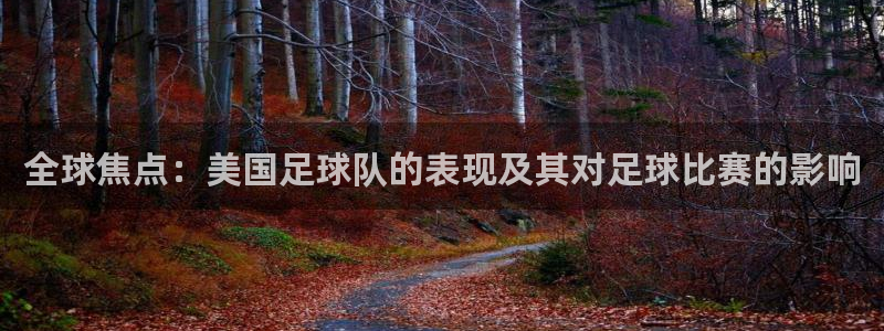 世界杯预选赛赛程时间表：全球焦点：美国足球队的表现及其对足球比赛的影响
