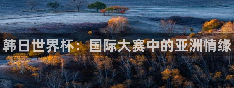 世界杯比赛赛程：韩日世界杯：国际大赛中的亚洲情缘