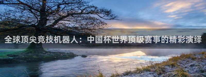 今年的世界杯：全球顶尖竞技机器人：中国杯世界顶级赛事的精彩演绎