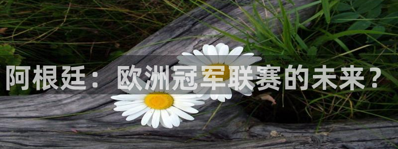 世界杯2026比赛时间表：阿根廷：欧洲冠军联赛的未来？
