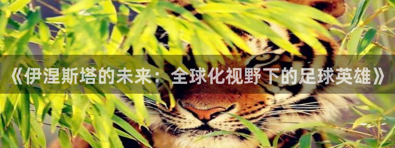 2026世界杯欧洲预选赛赛程表：《伊涅斯塔的未来：全球化视野下的足球英雄》